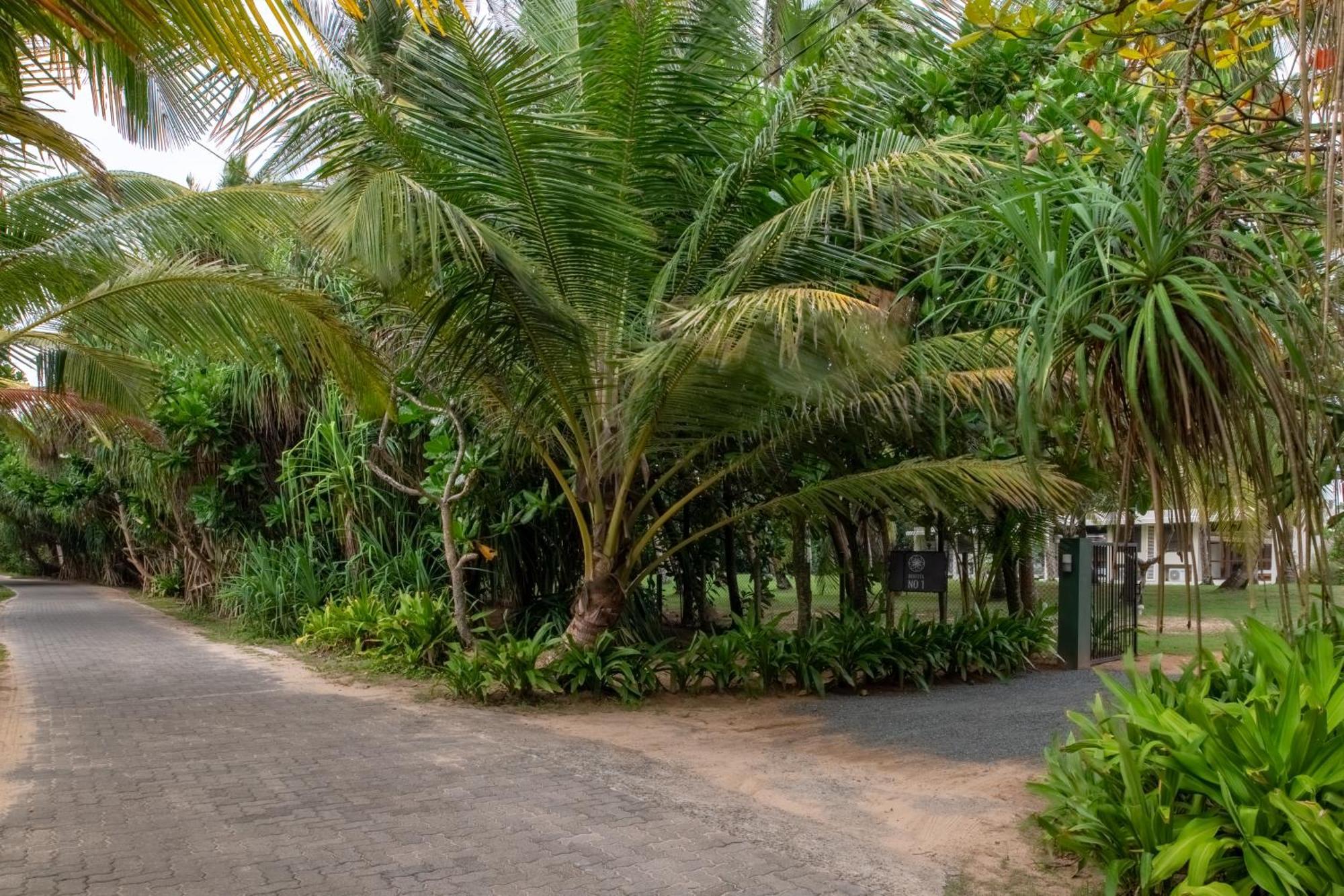 Bentota No 1ヴィラ エクステリア 写真