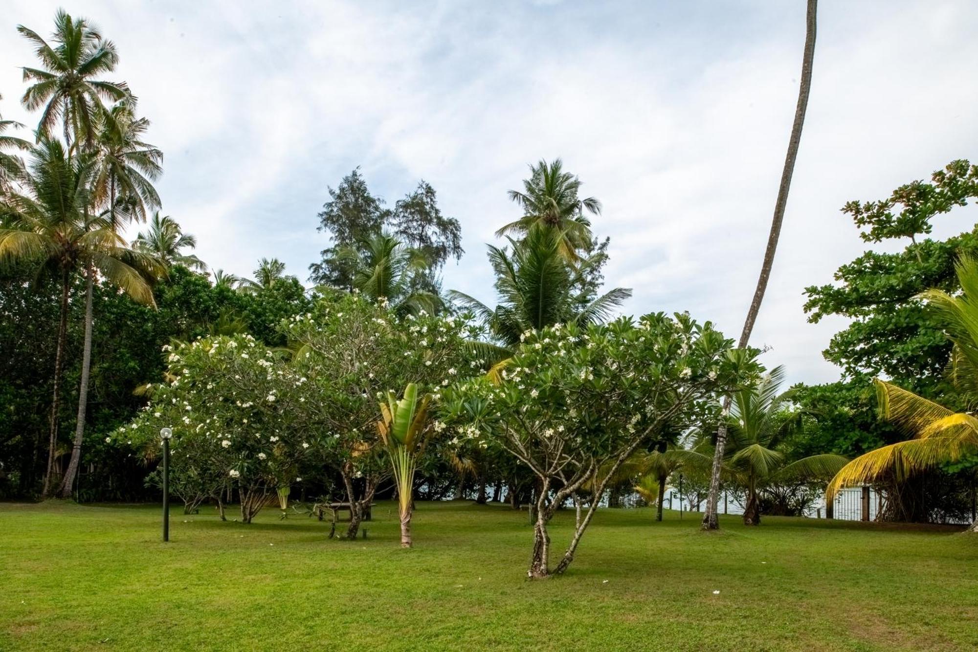 Bentota No 1ヴィラ エクステリア 写真